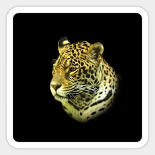 Jaguar portrait Sticker